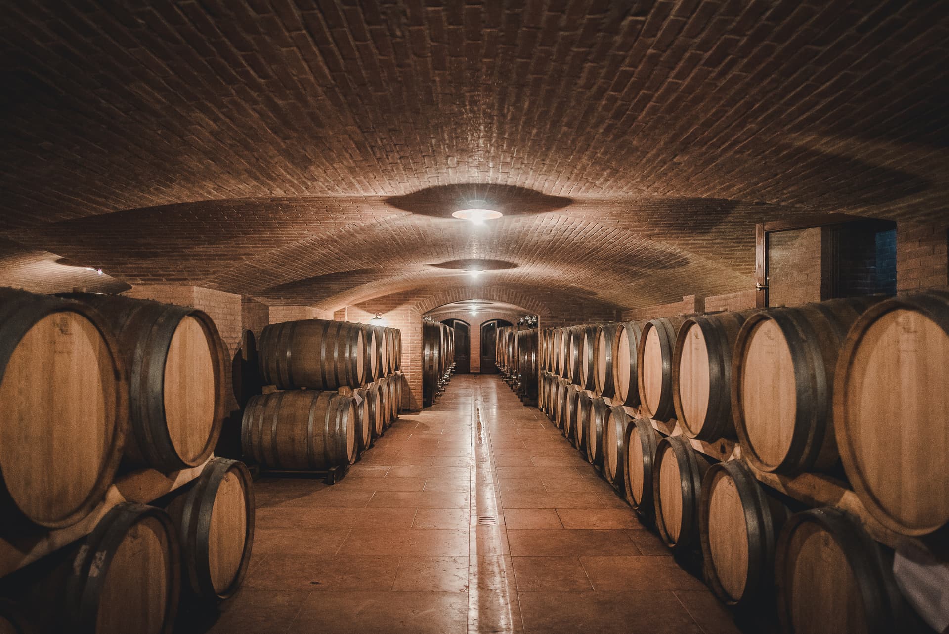 Discover Veneto Wines: Prà Tasting & Cellar Tour photo 4