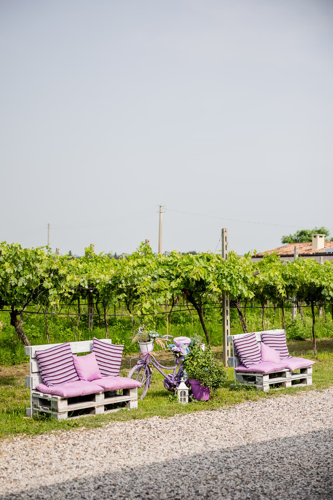 Visita guiada con cata de vinos de Valpolicella foto 5