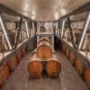 Umbria Vineyard Tour & Wine Tasting photo 3