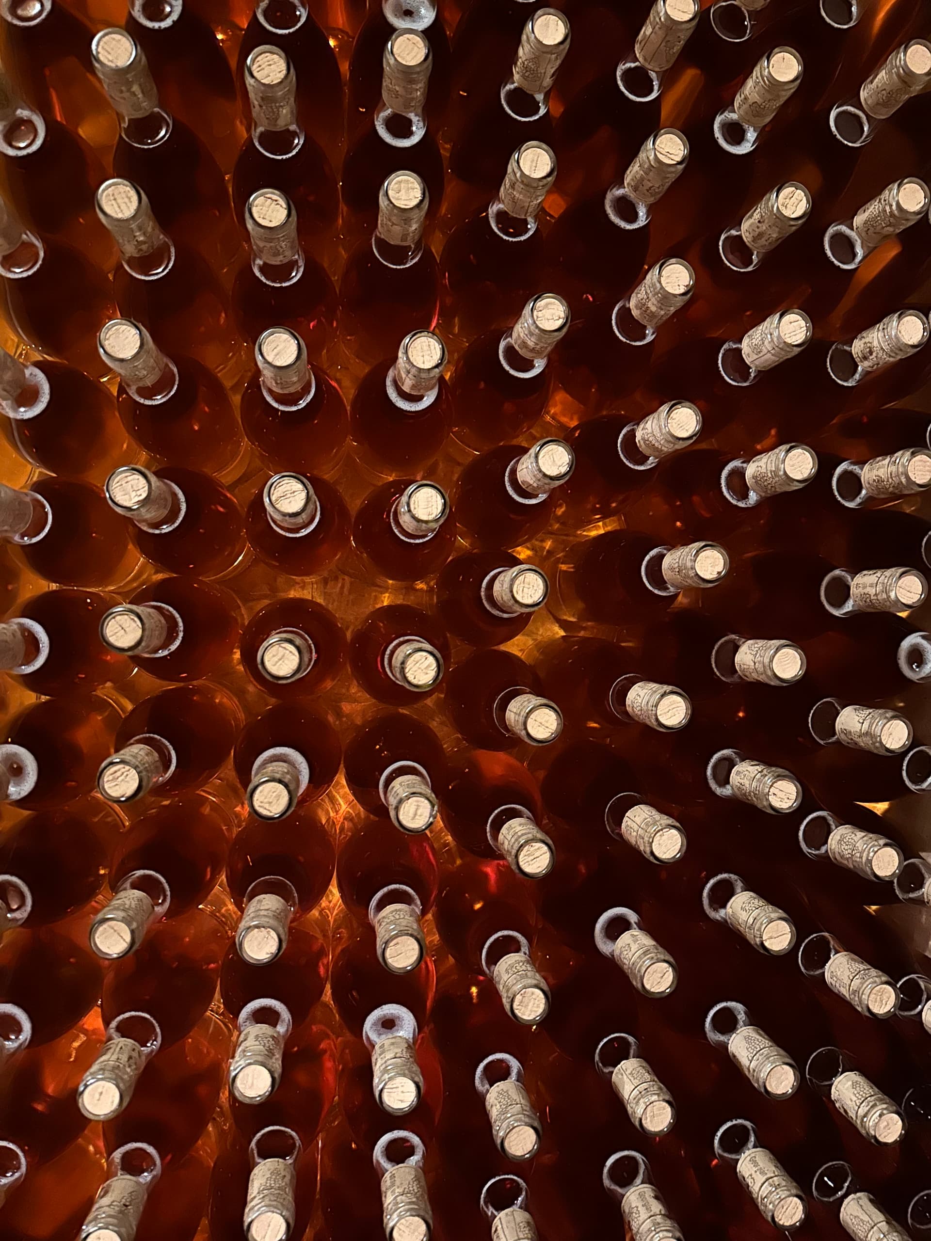 Dégustation de vins avec déjeuner