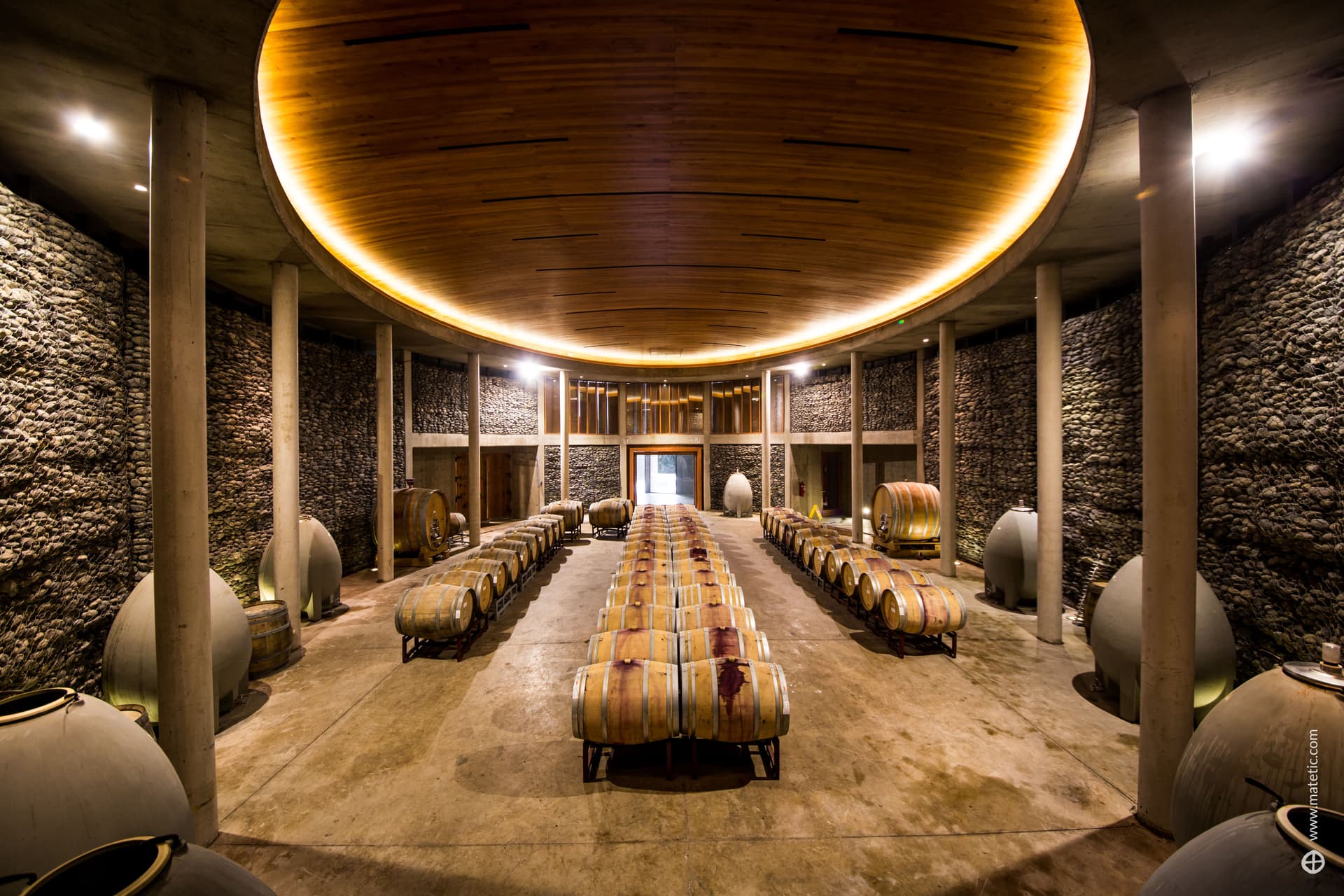 MATETIC VINEYARDS Foto 2