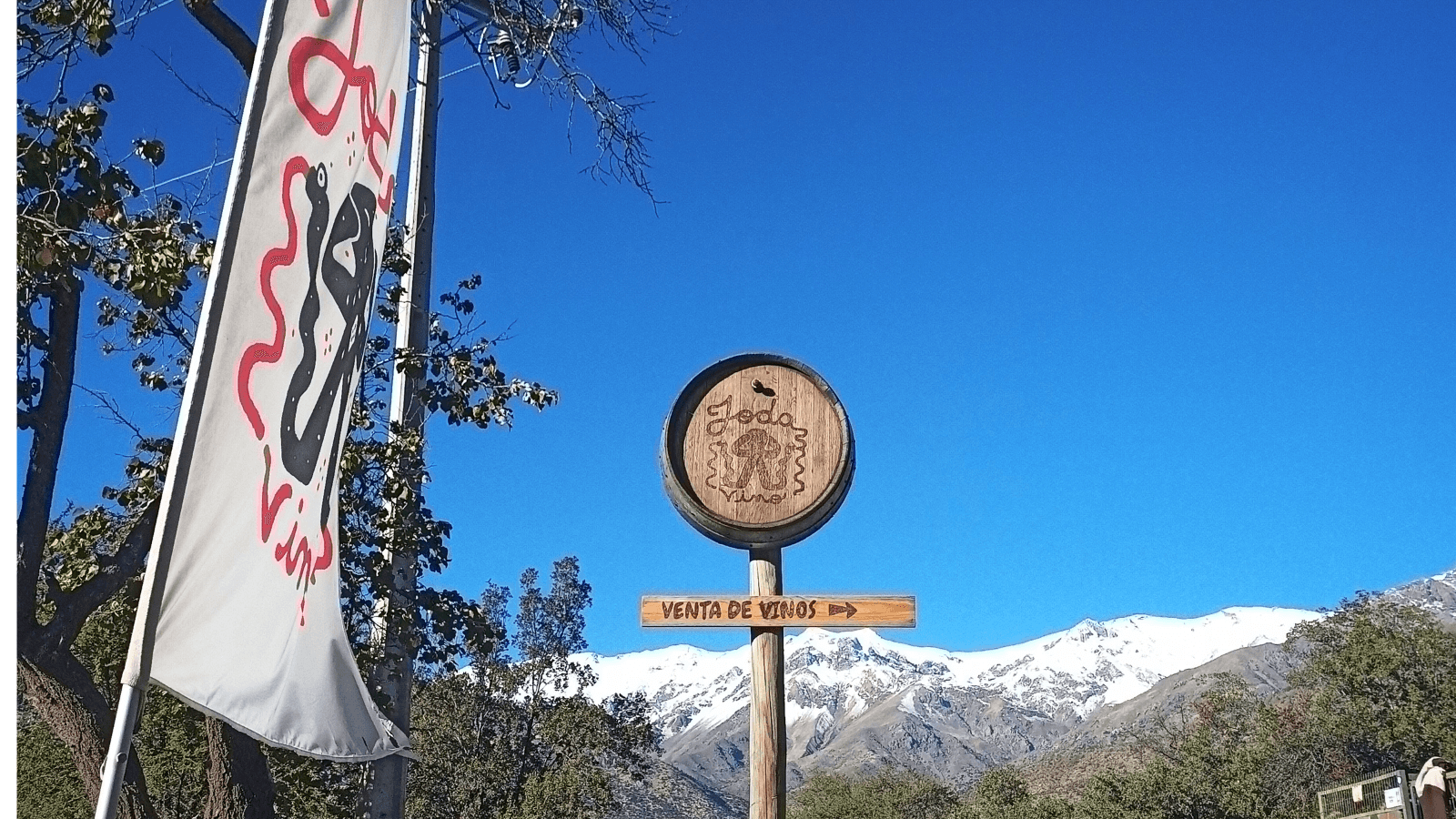 Vino La Joda Logo