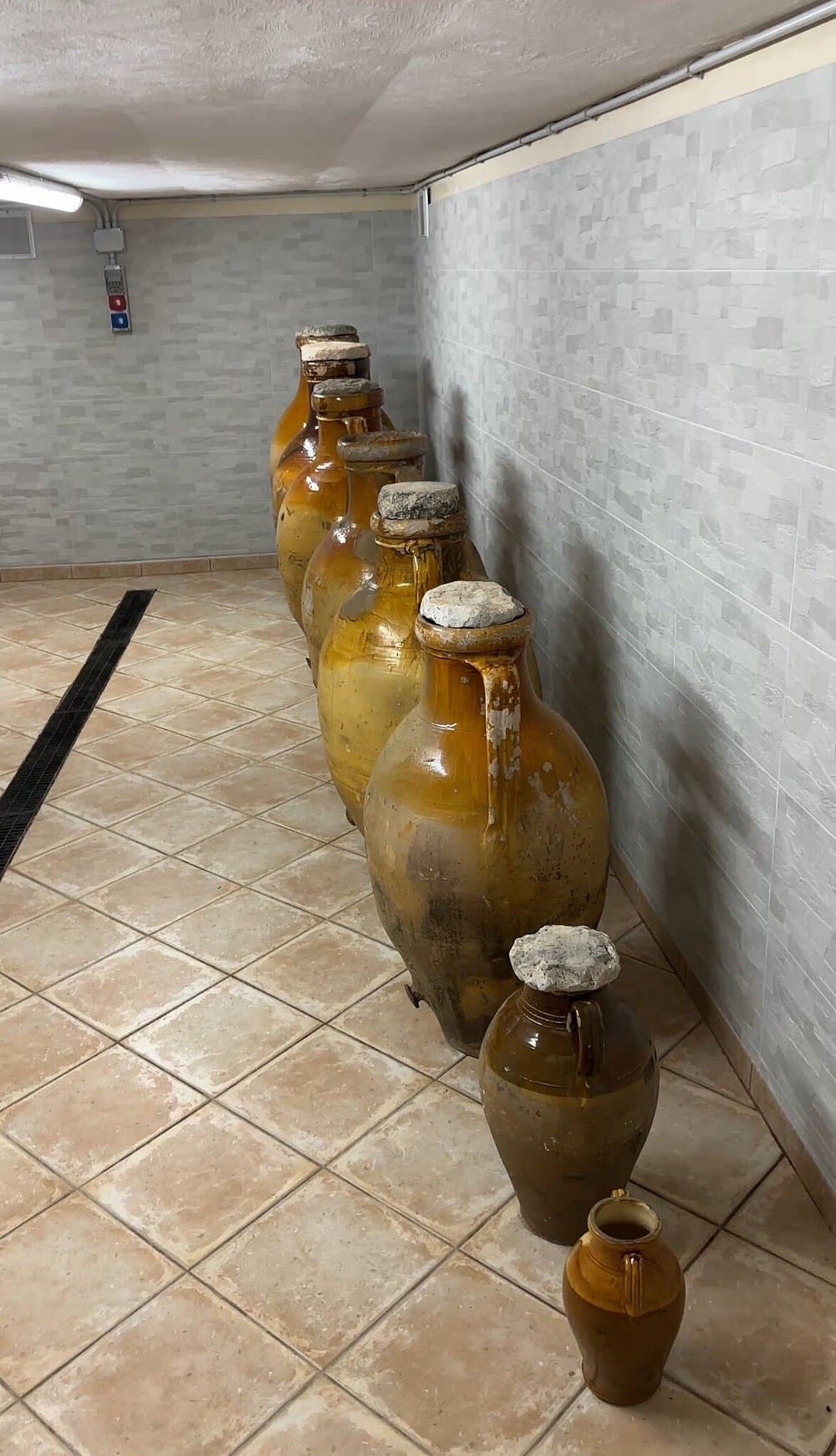 Roteiro de vinhos foto 4