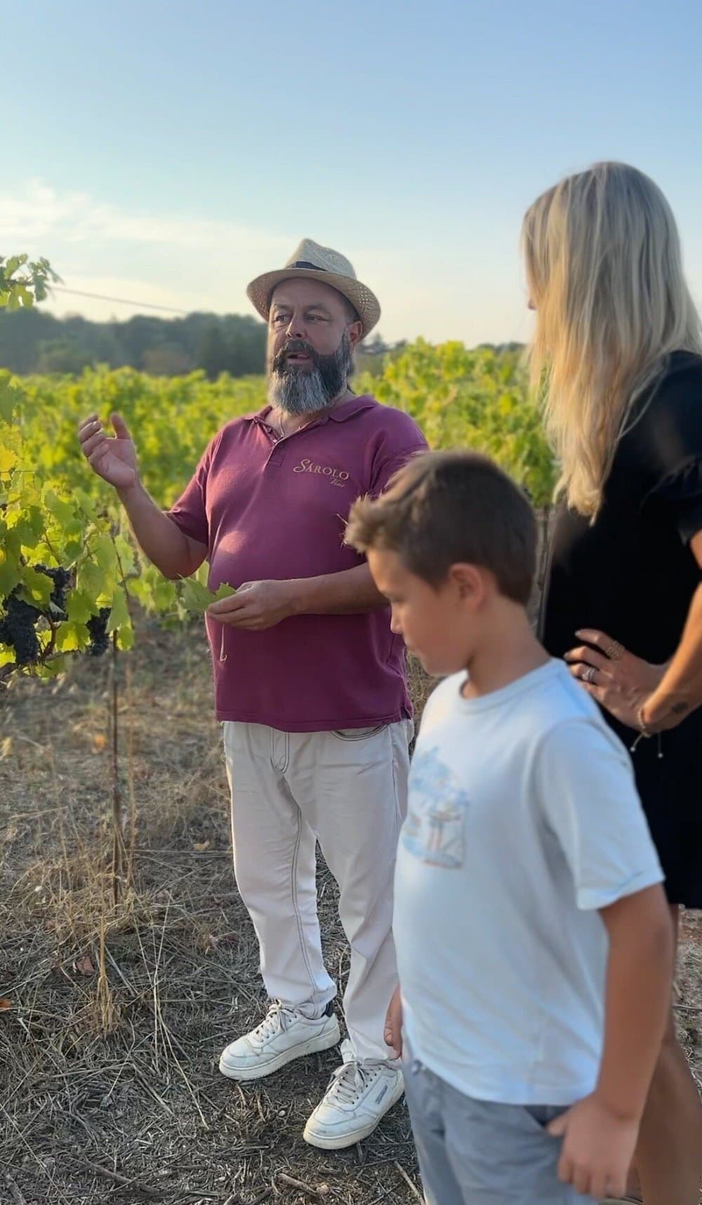 Roteiro de vinhos foto 5