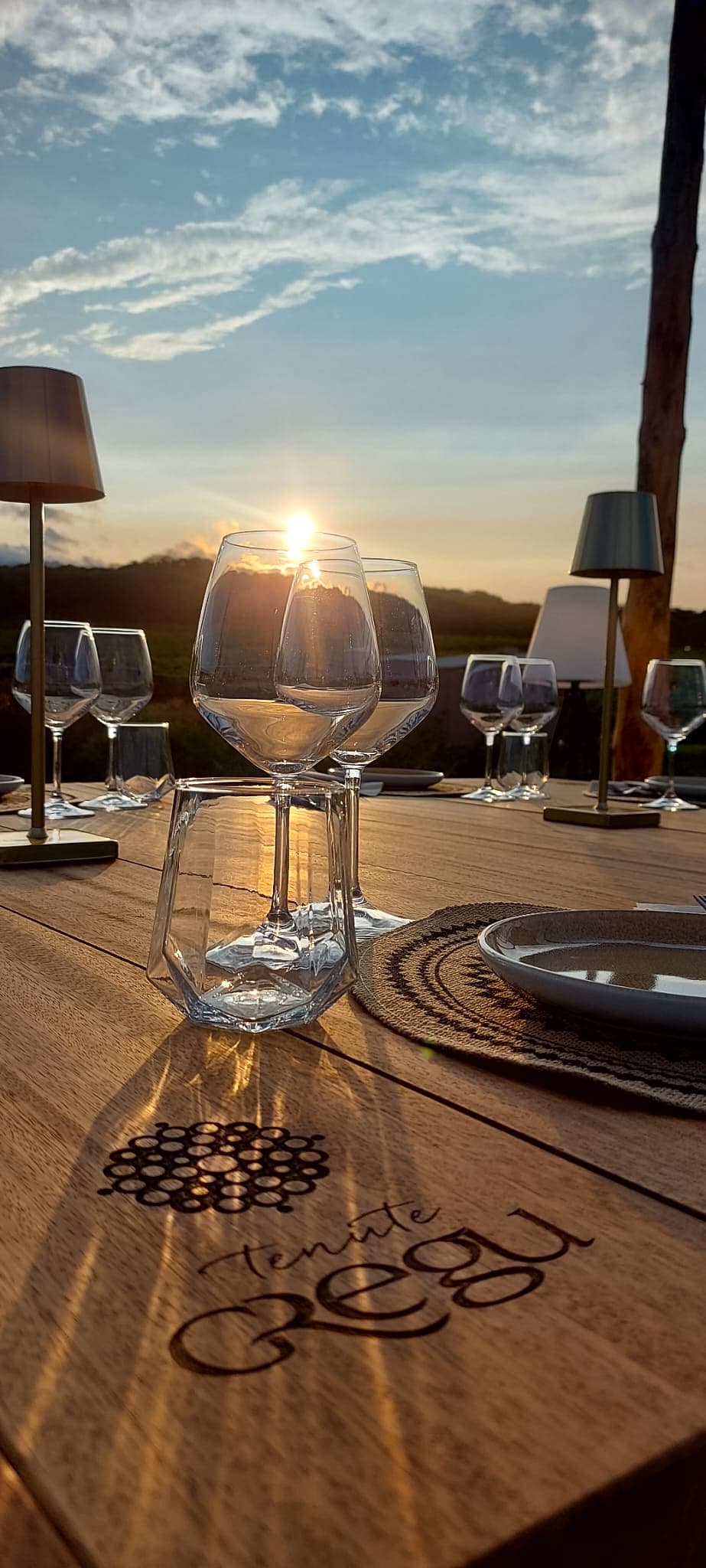 Degustación exclusiva en Tenute Gregu en Gallura foto 4