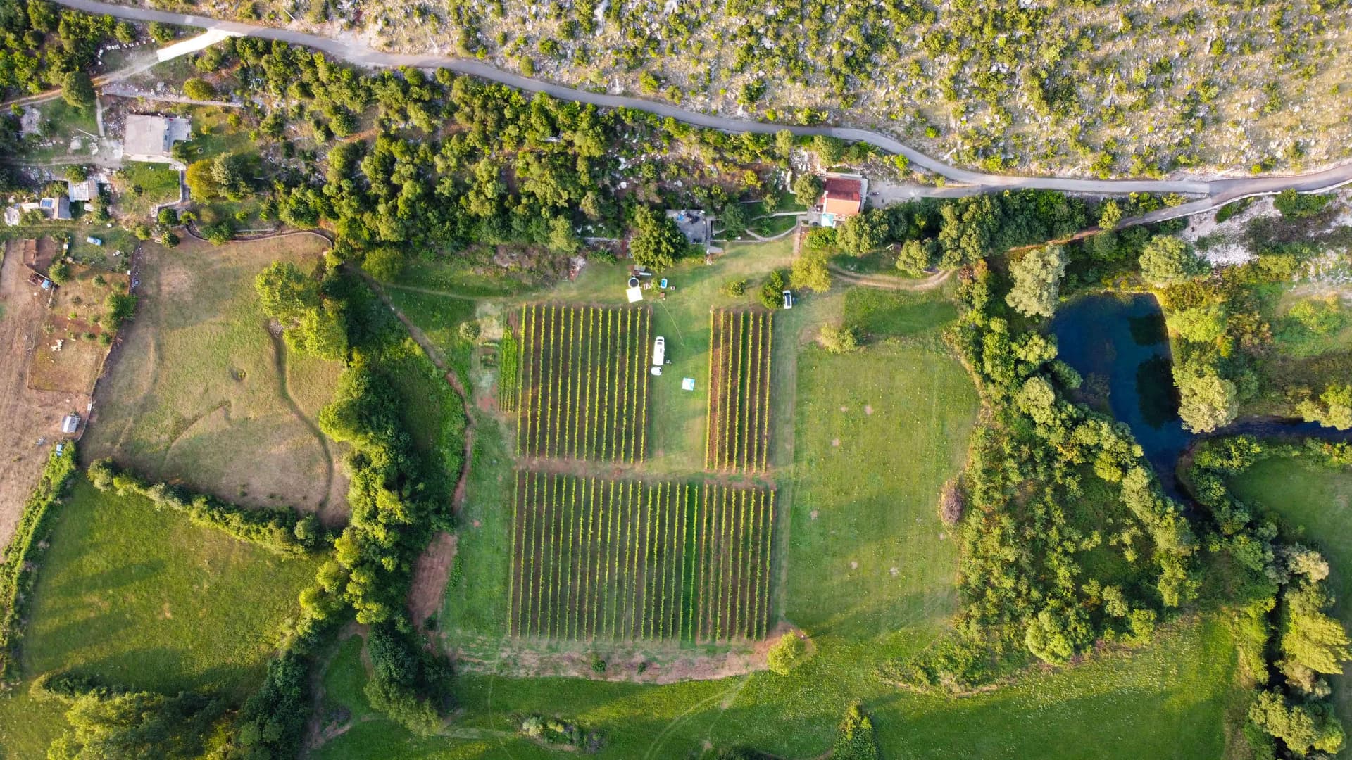 Vino y cena en la naturaleza | Jokaš foto 4