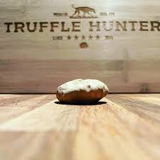 Destaque de Truffle Hunter Italy