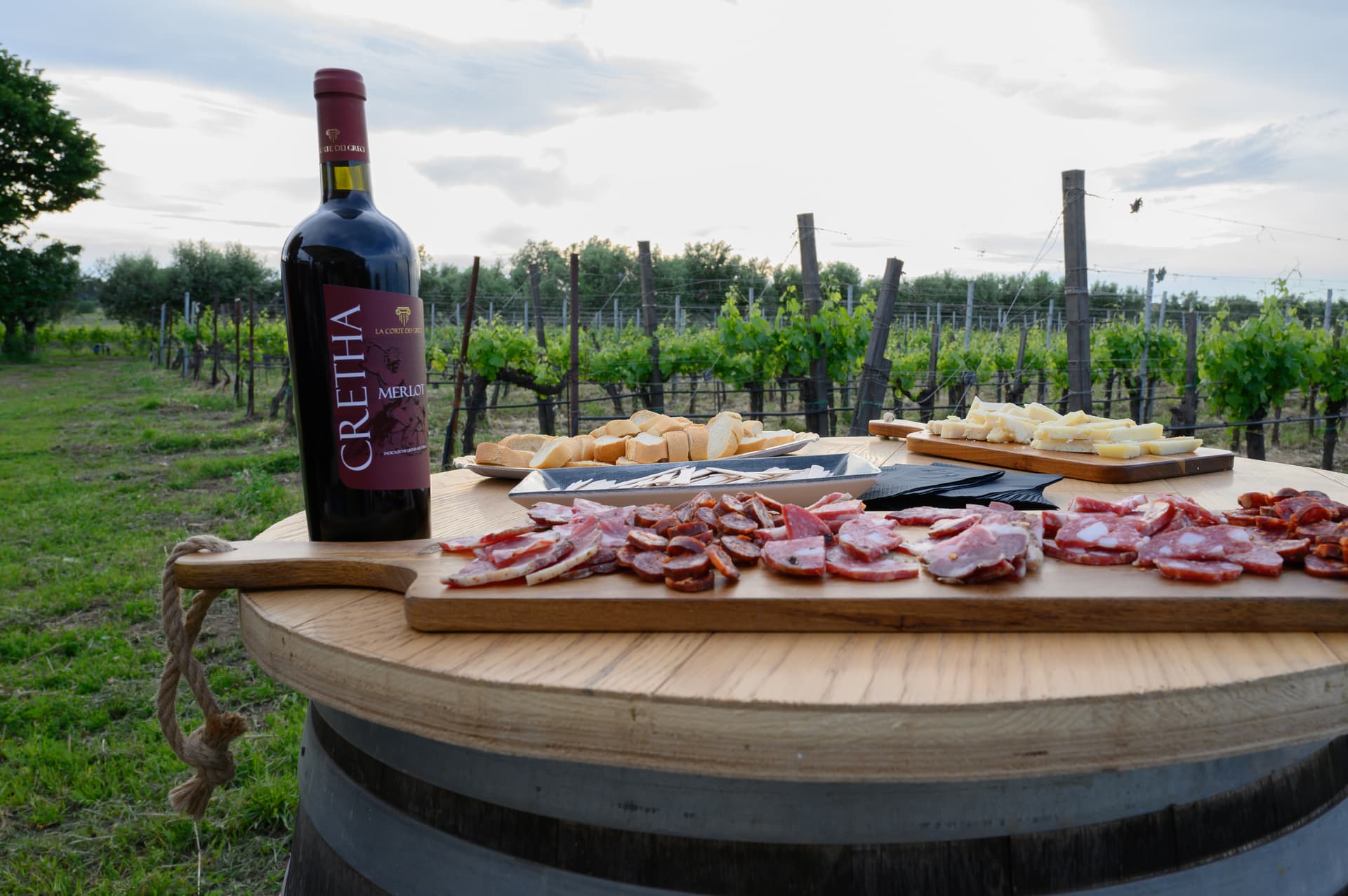 Tasting in the Cellar with food and wine pairings photo 2