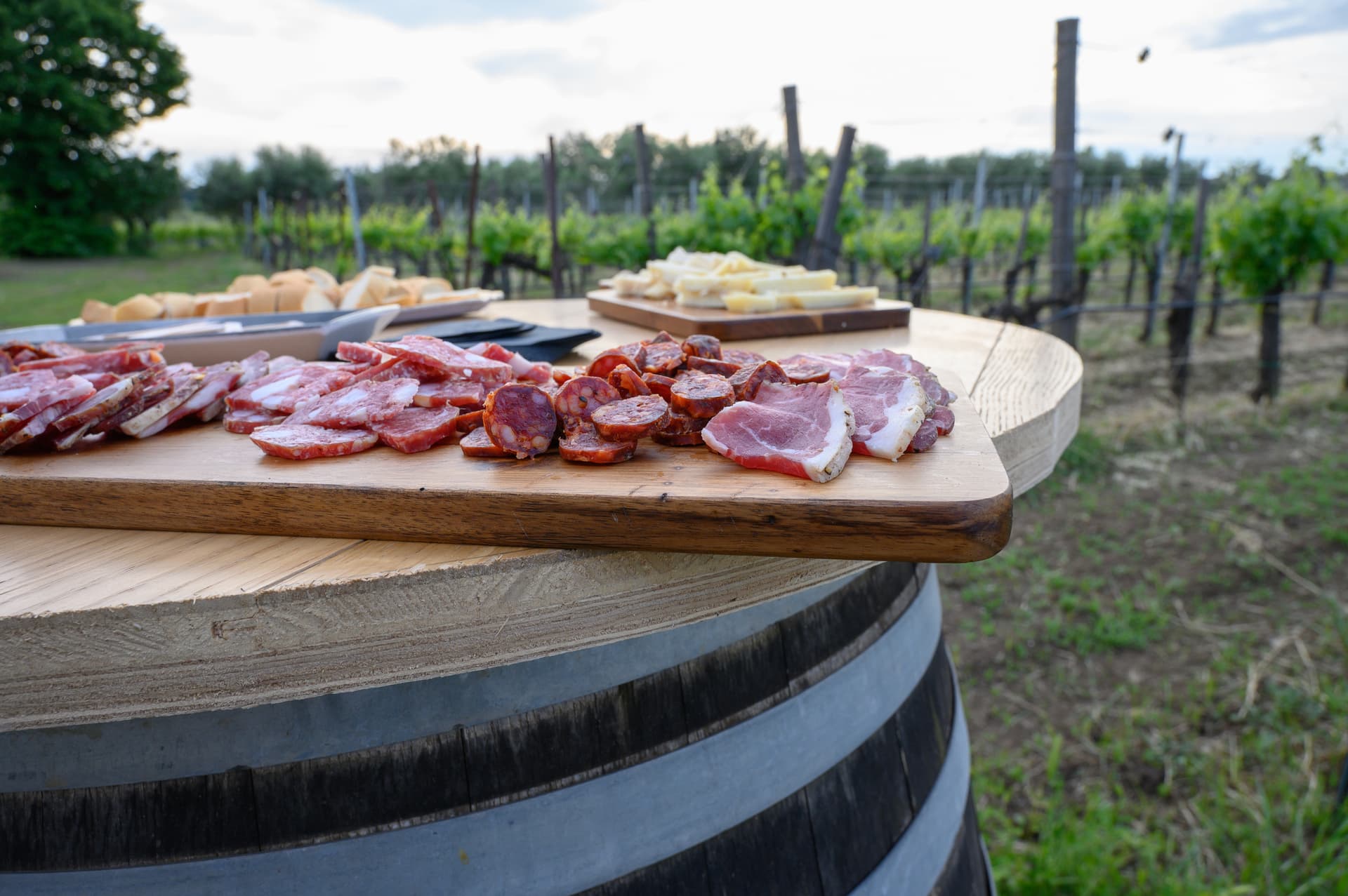 Tasting in the Cellar with food and wine pairings photo 4