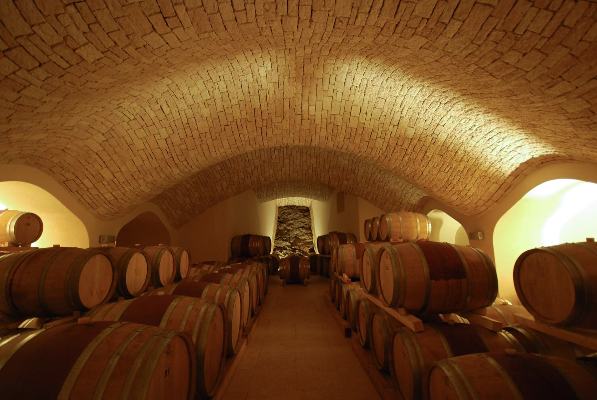 Veneto's Organic Wine & Farm Tasting at Contra' Soarda photo 2