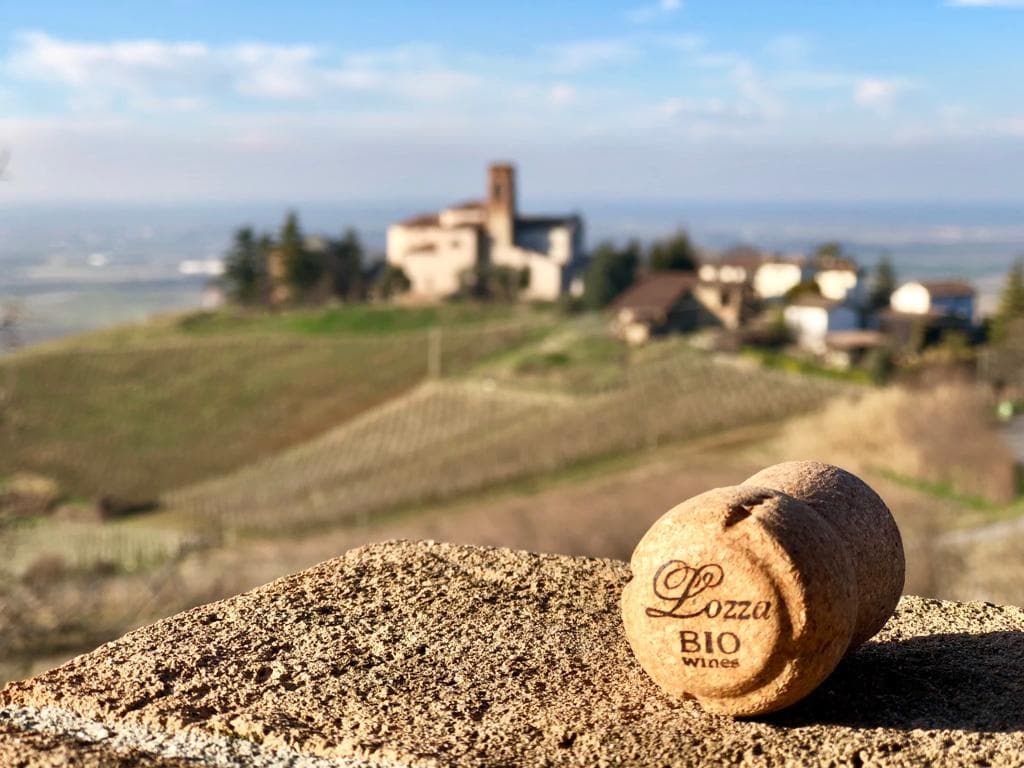 Cantine Lozza Bio Wines foto 4