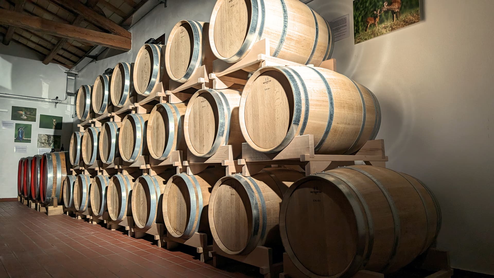 Destaque de La Frassina Winery
