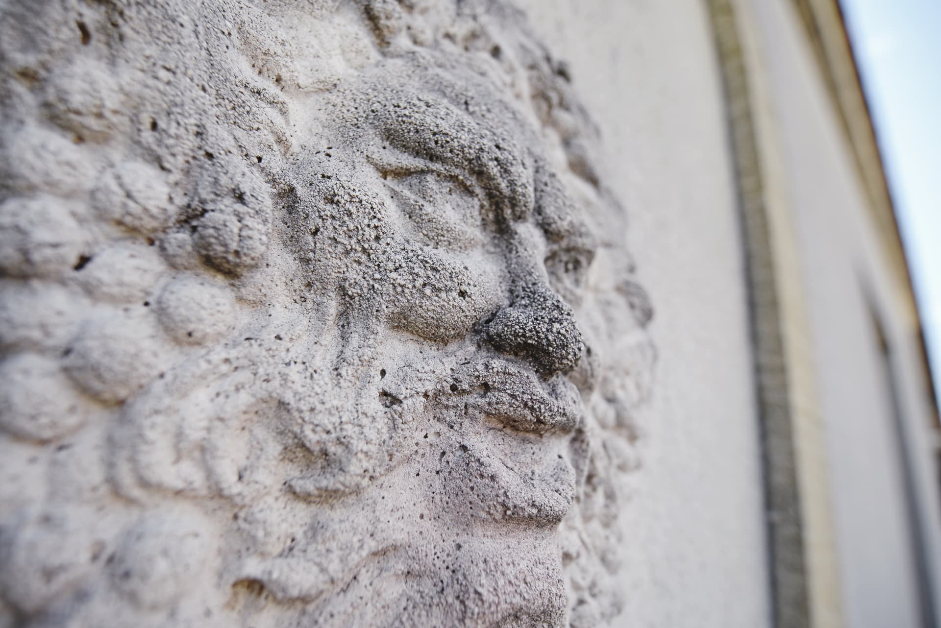 Chateau Ferrand Lartigue photo 3