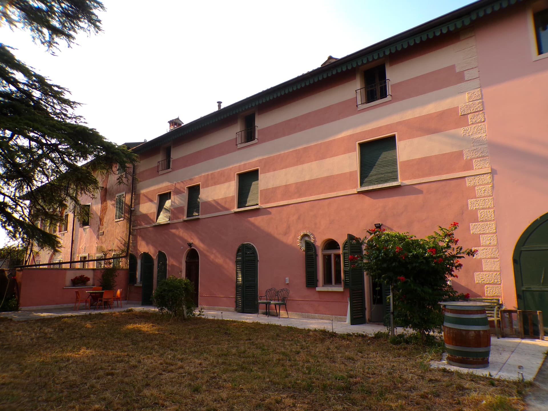 Degustazione di vini e tour alla Tenuta Vignega foto 3