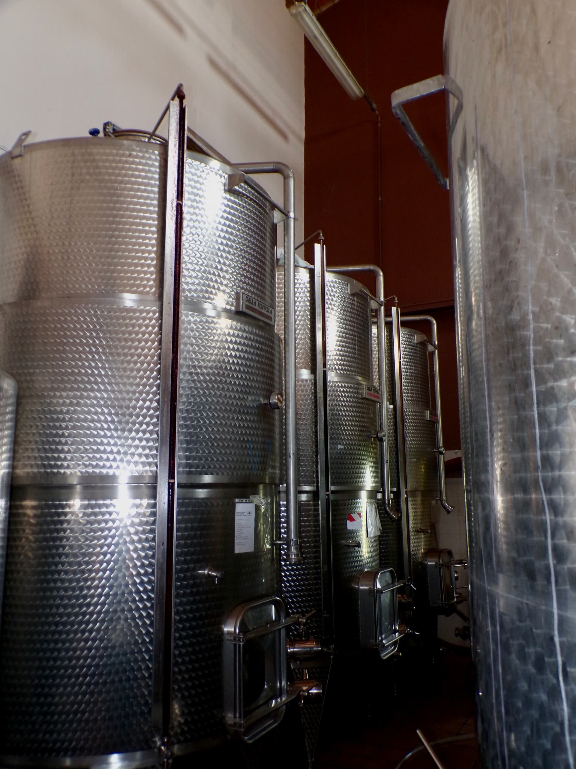 Degustazione di vini e tour alla Tenuta Vignega foto 5
