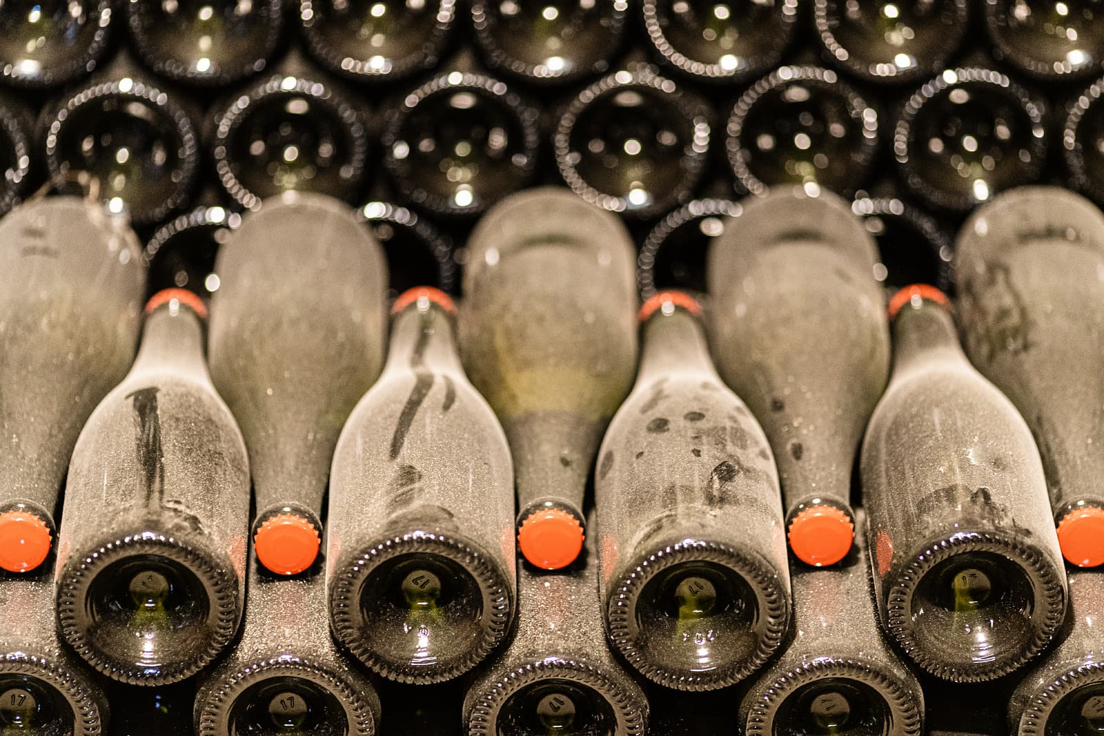 Experiência gastronômica e vinícola: tour de vinhos e almoço ou… foto 3