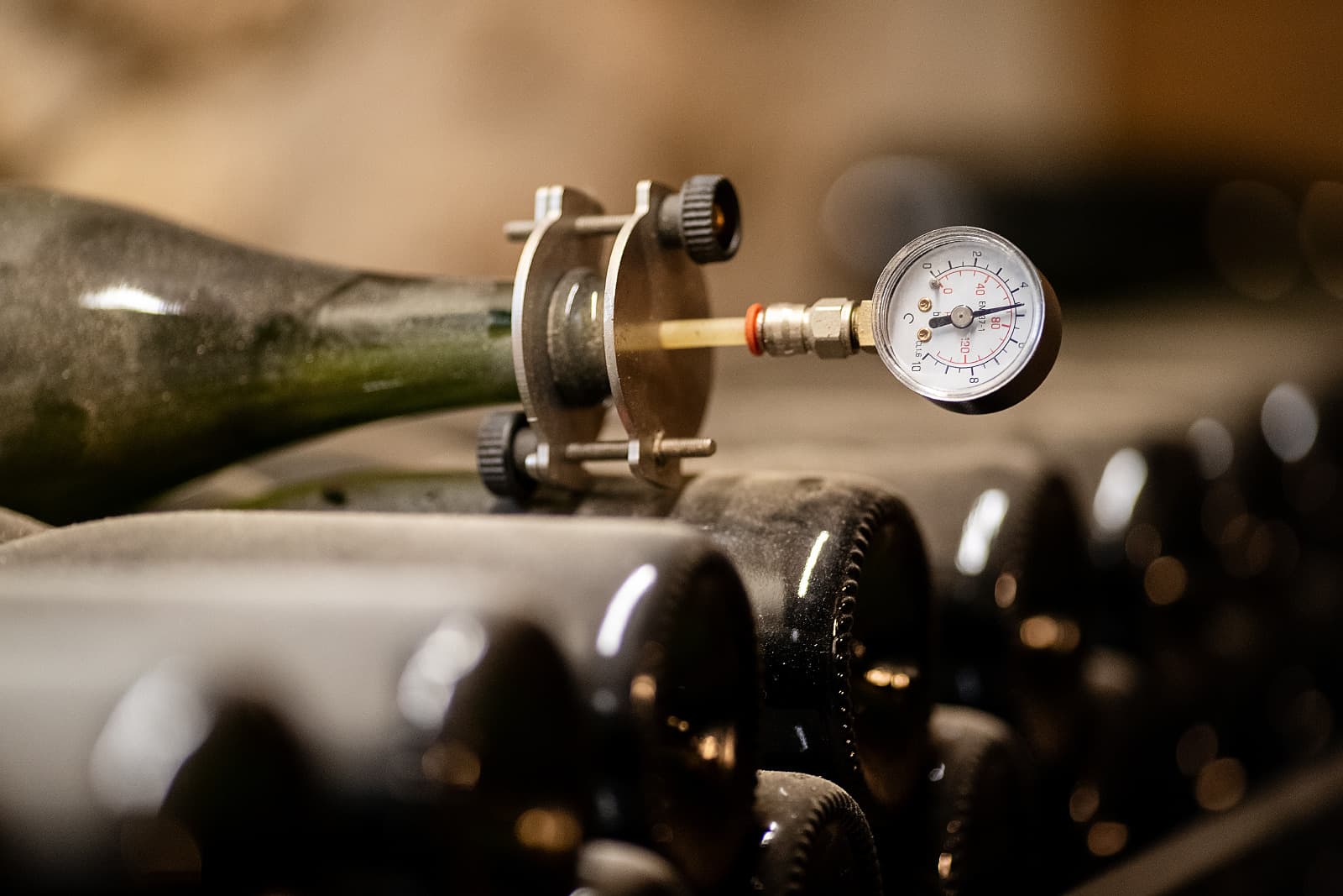 Experiência gastronômica e vinícola: tour de vinhos e almoço ou… foto 5