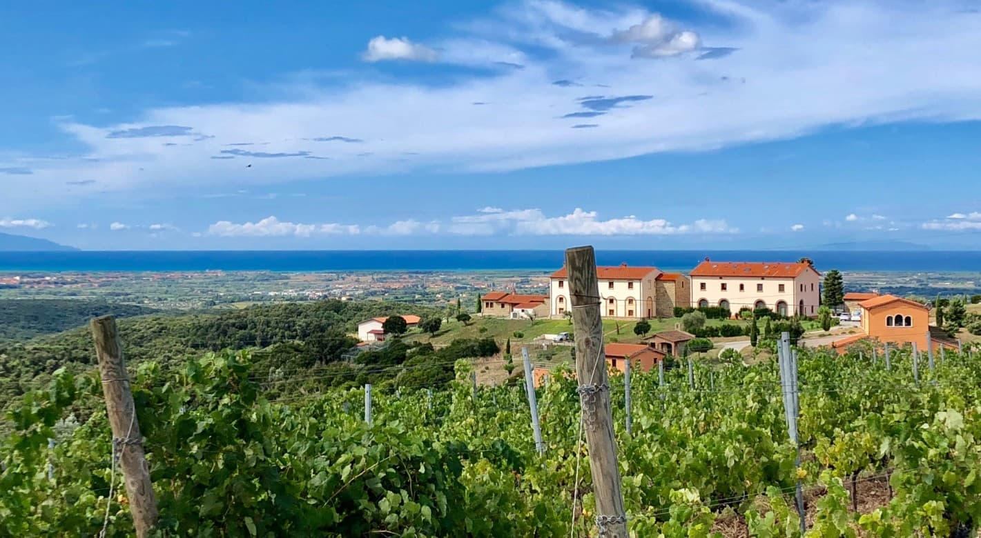 Tenuta Pakravan Papi foto 2