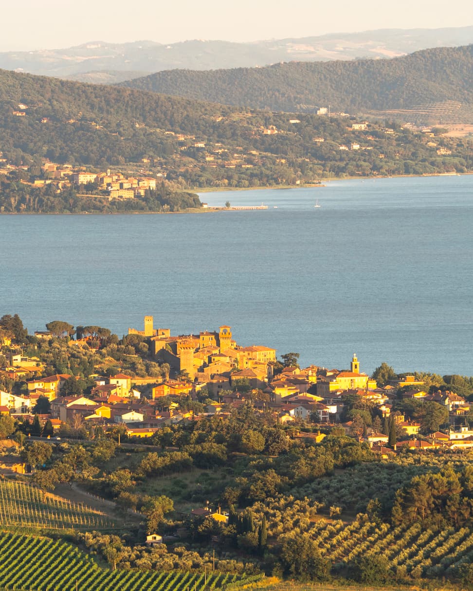 Di Colle In Colle Winery photo 4
