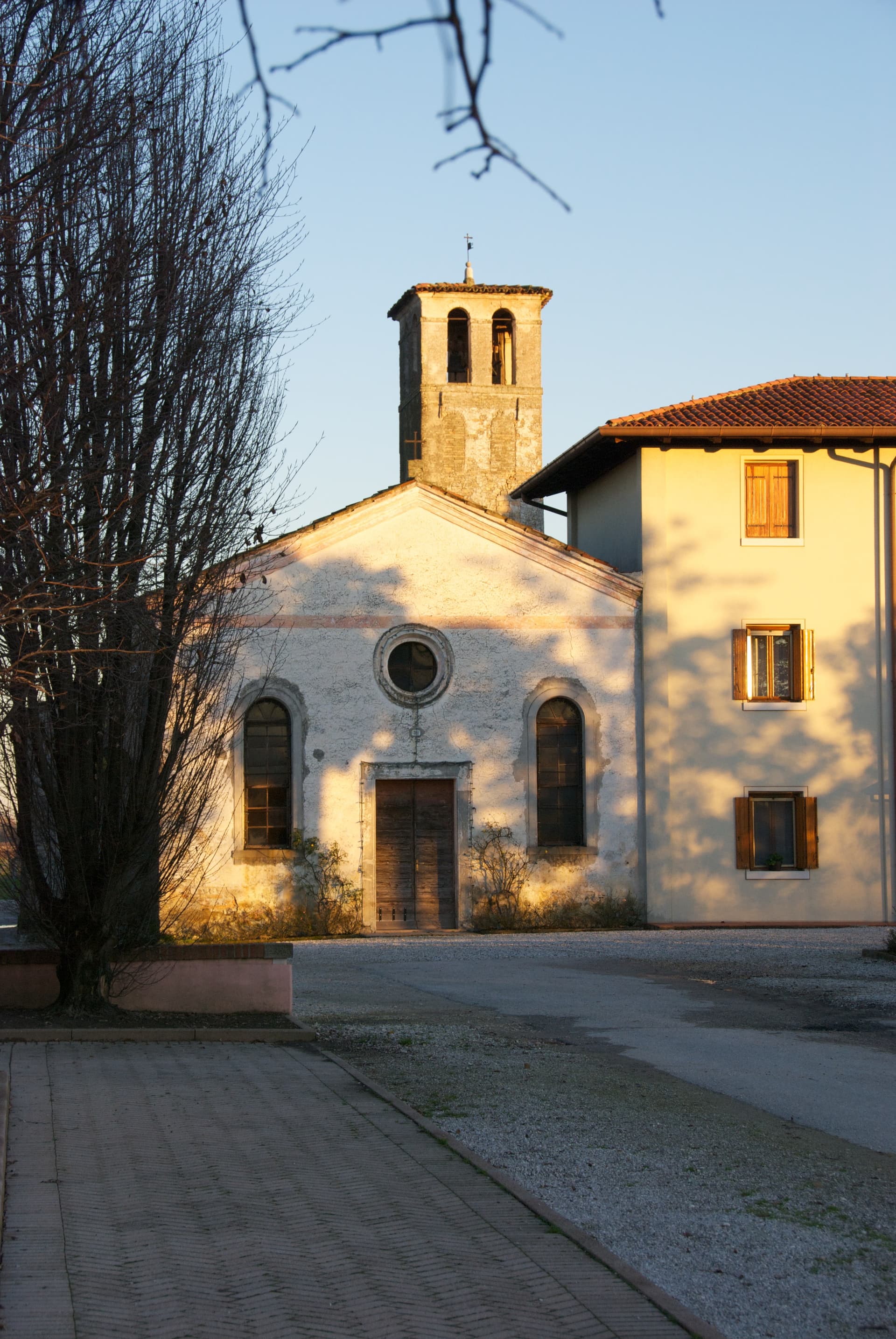 Bellussera-Weintour Foto 5