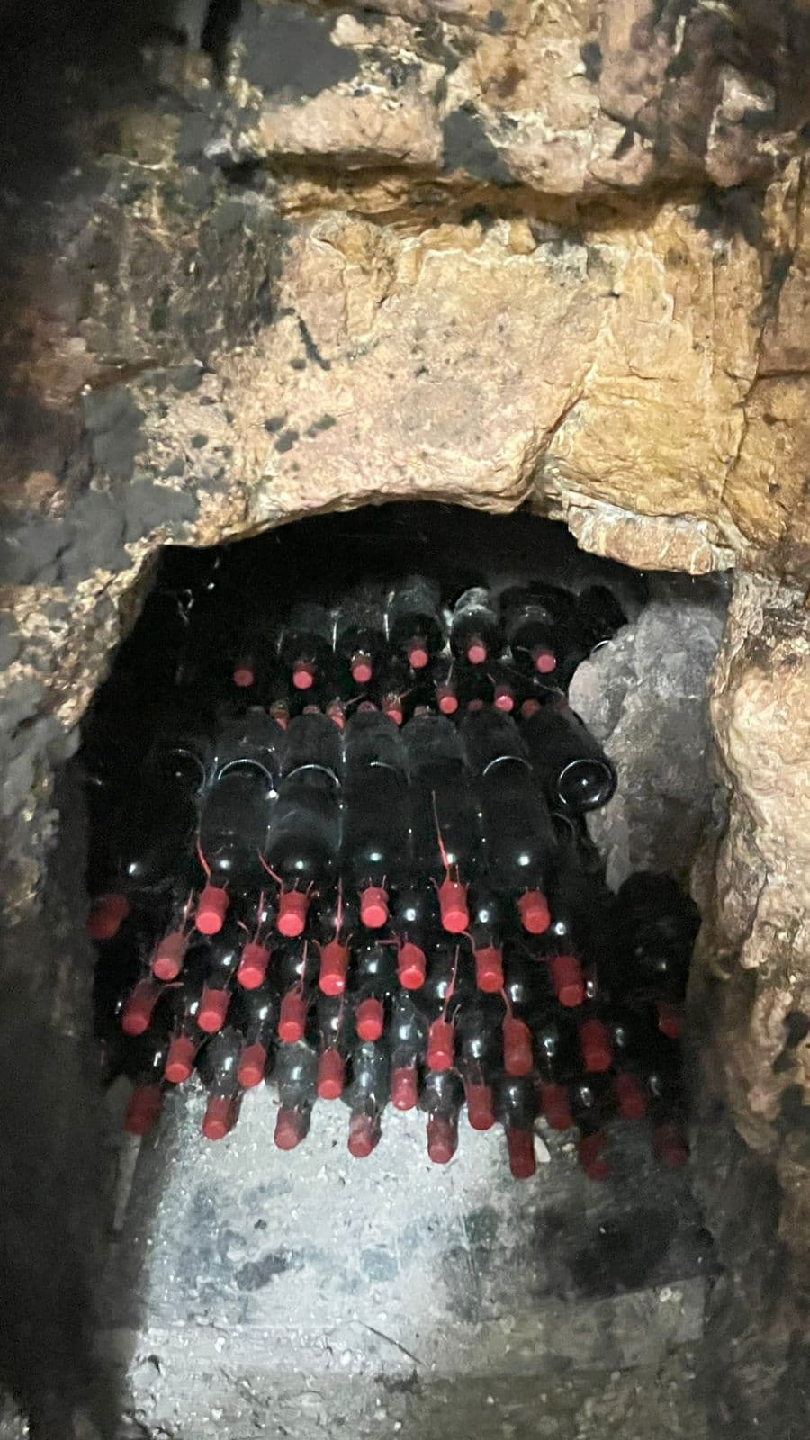 From Vine to Wine – Indigenous Grapes and Organic Wineries of the Paphos Wine Villages photo 4