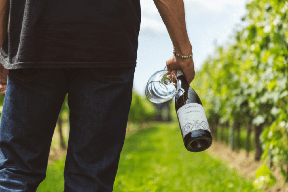Essenzen der Region – Eine Verkostung von drei Friuli Aquileia DOC-Weinen in der Cantina Valpanera