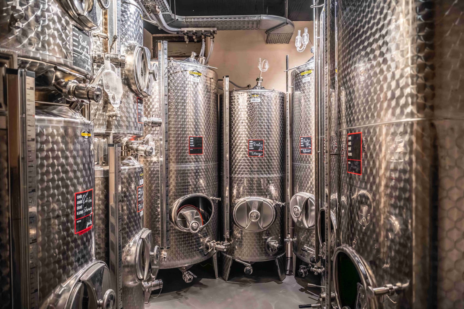 Weinprobe im Domaine Mann - Vignoble Des 3 Terres Foto 4