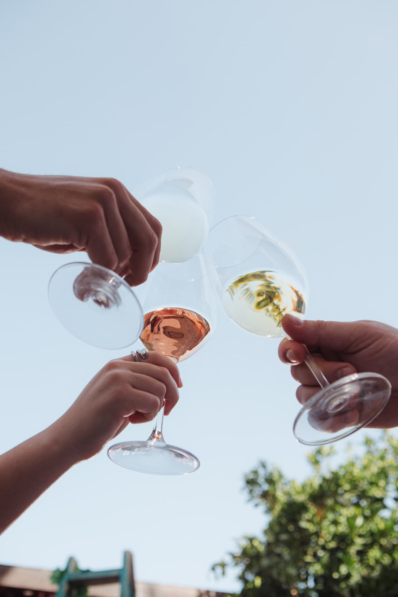 Degustazione di vini | Vini Daf foto 3