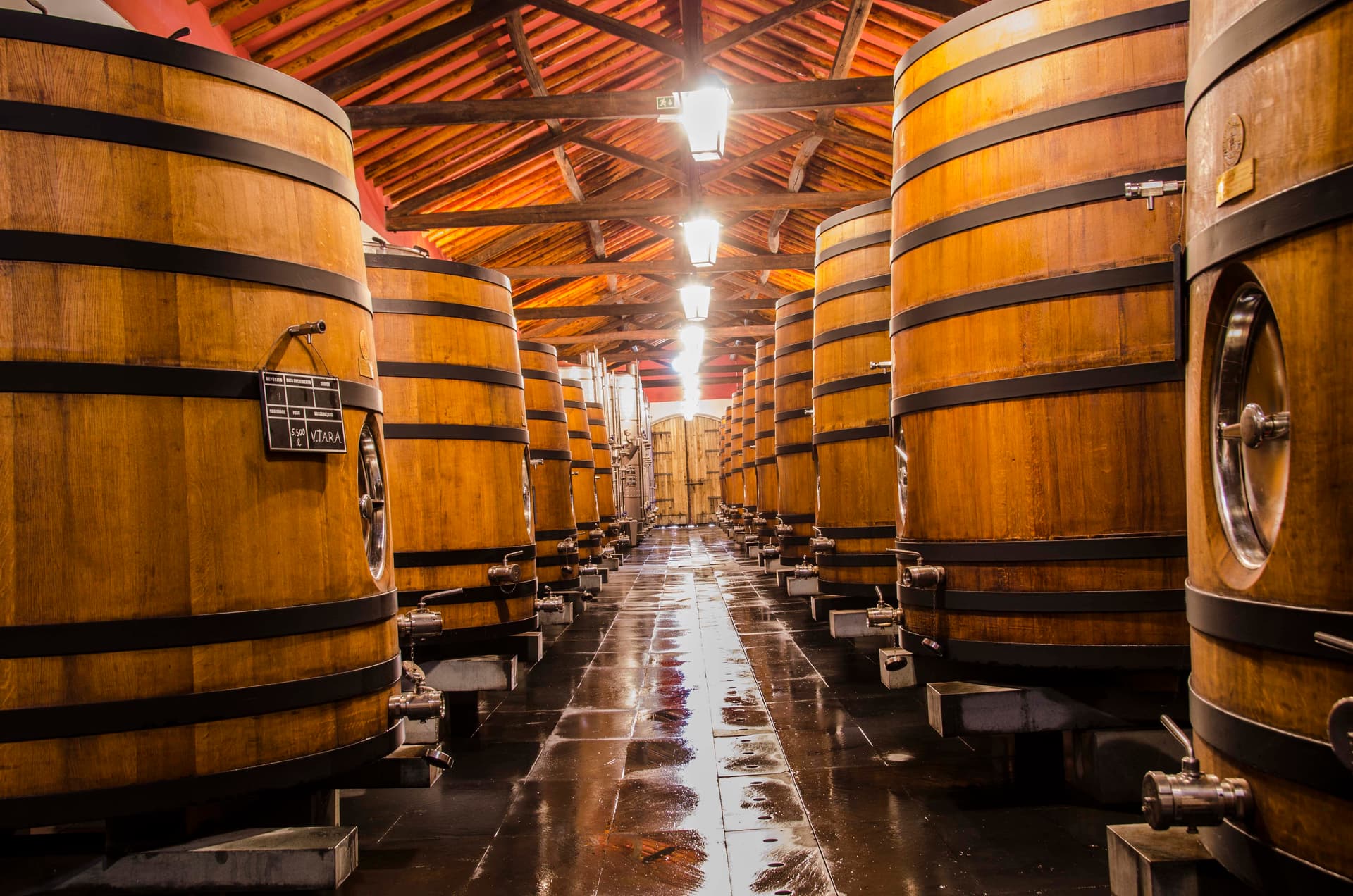 Reynolds Wine Growers highlight