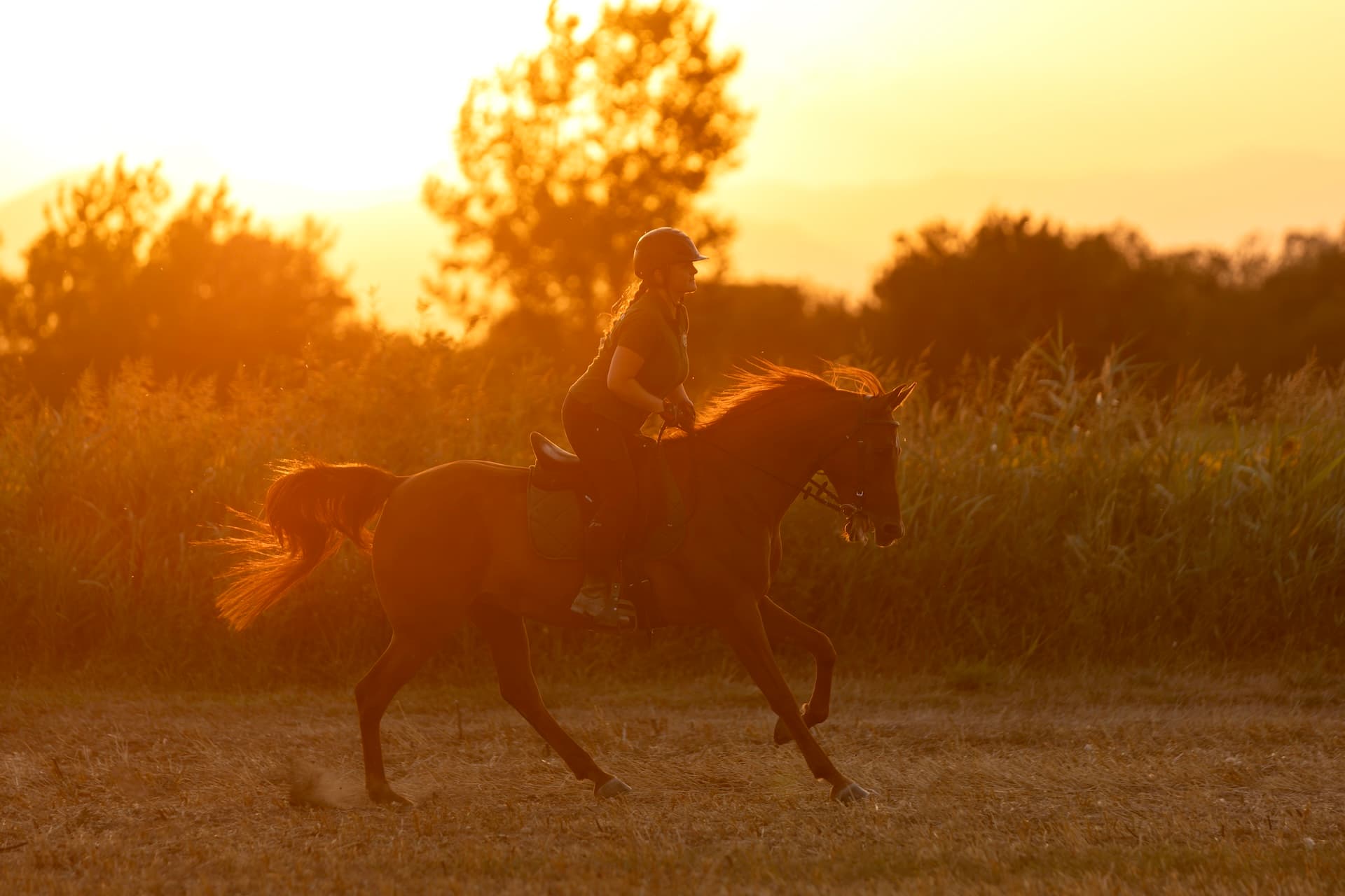 Experiencia de paseo a caballo y cata de vinos. foto 3