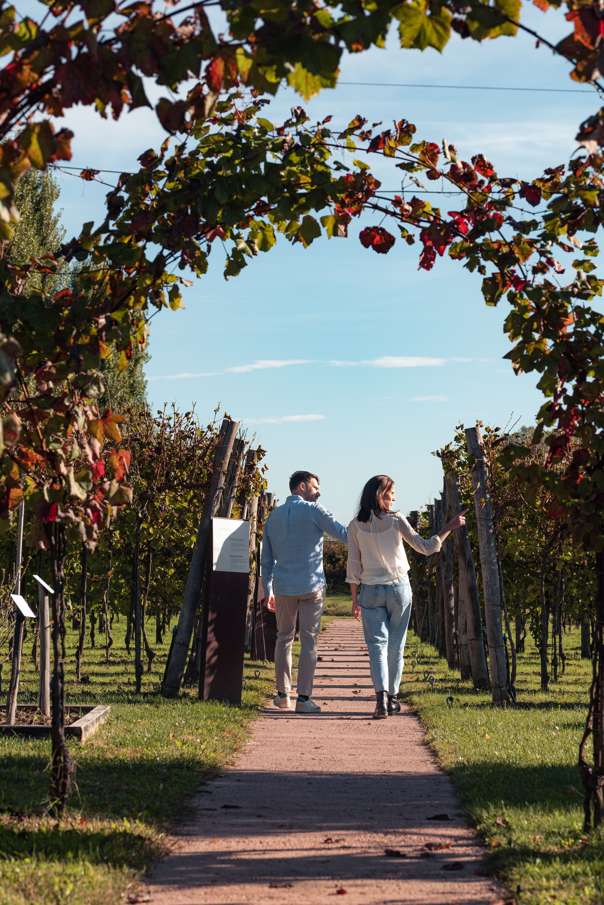 As Quintas da Casa Paladin - Tour de Vinhos e Degustação de… foto 5