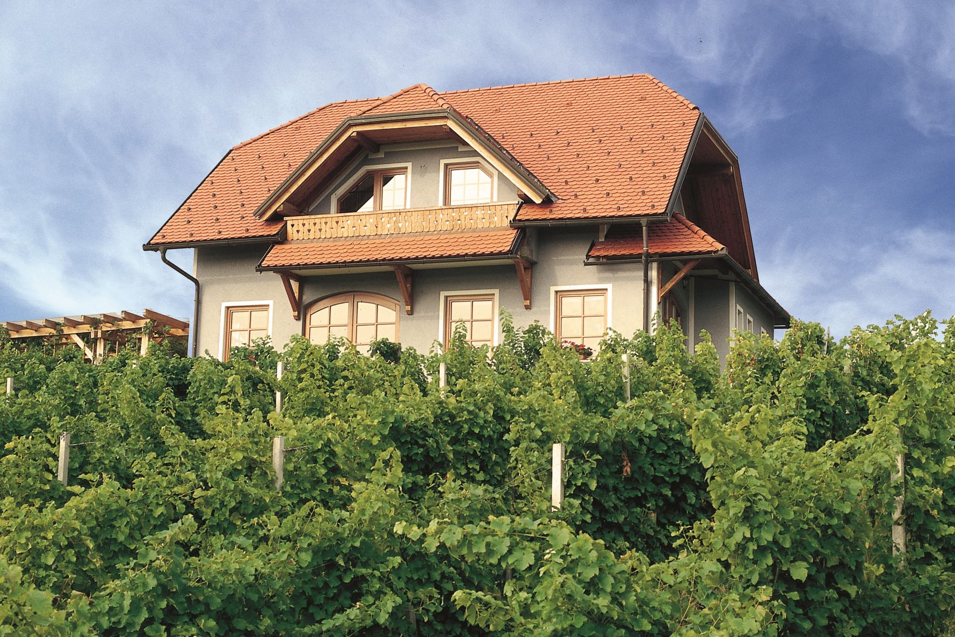 From Trappist Vines to Our Cellar