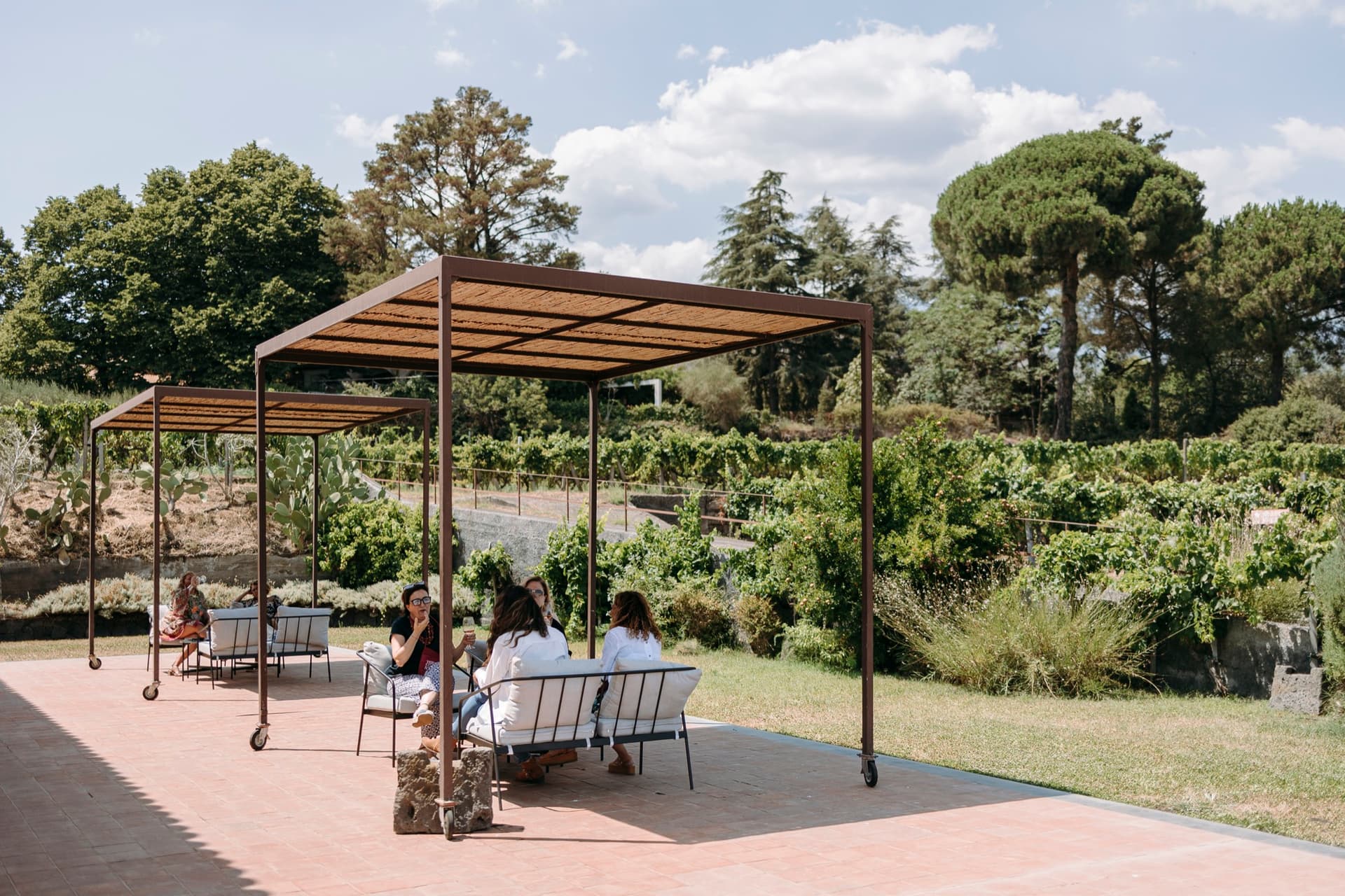 Discover Sicily’s Etna: Organic Wine & Lava Cellar Tasting photo 3