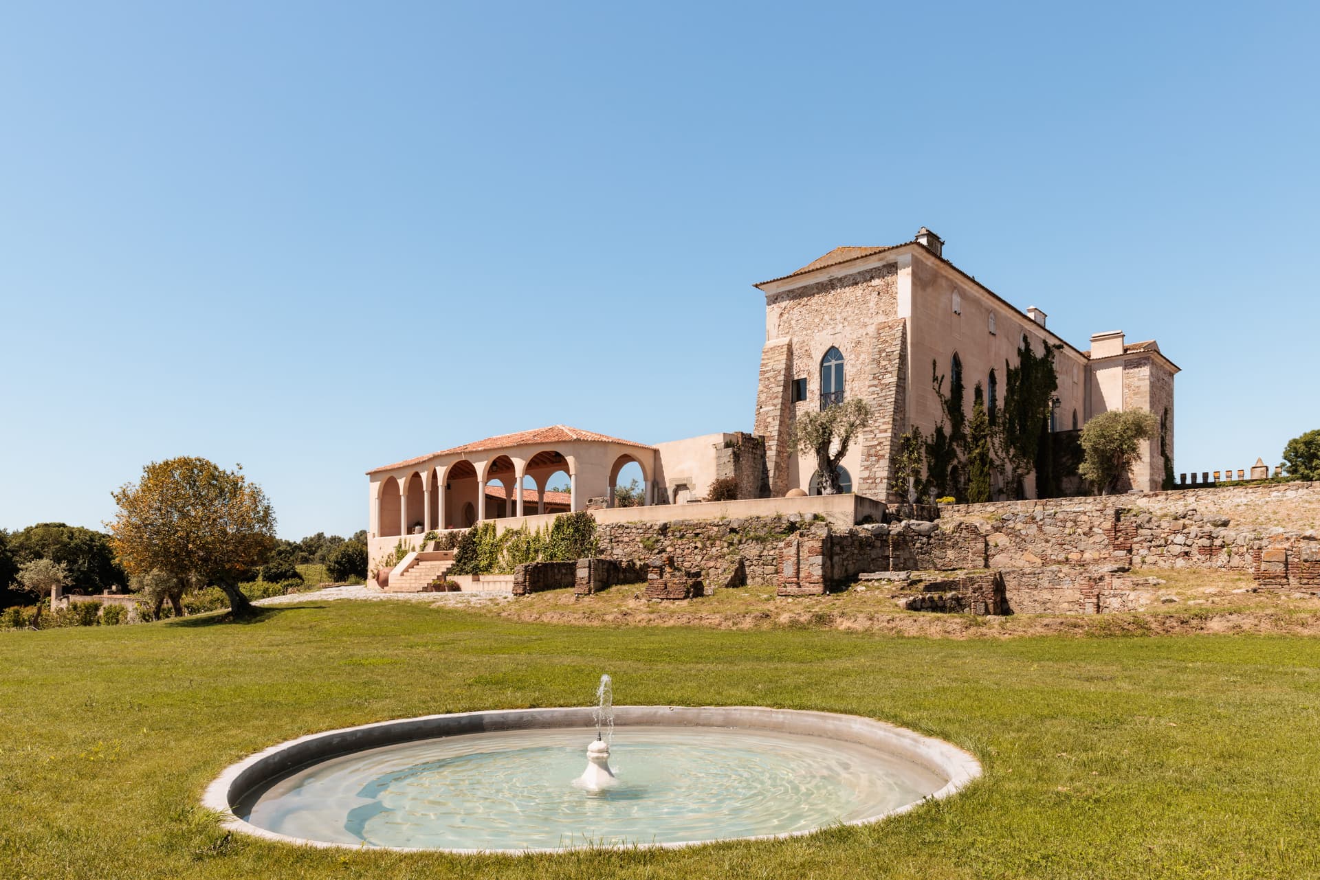 Fitapreta Vinhos Foto 5
