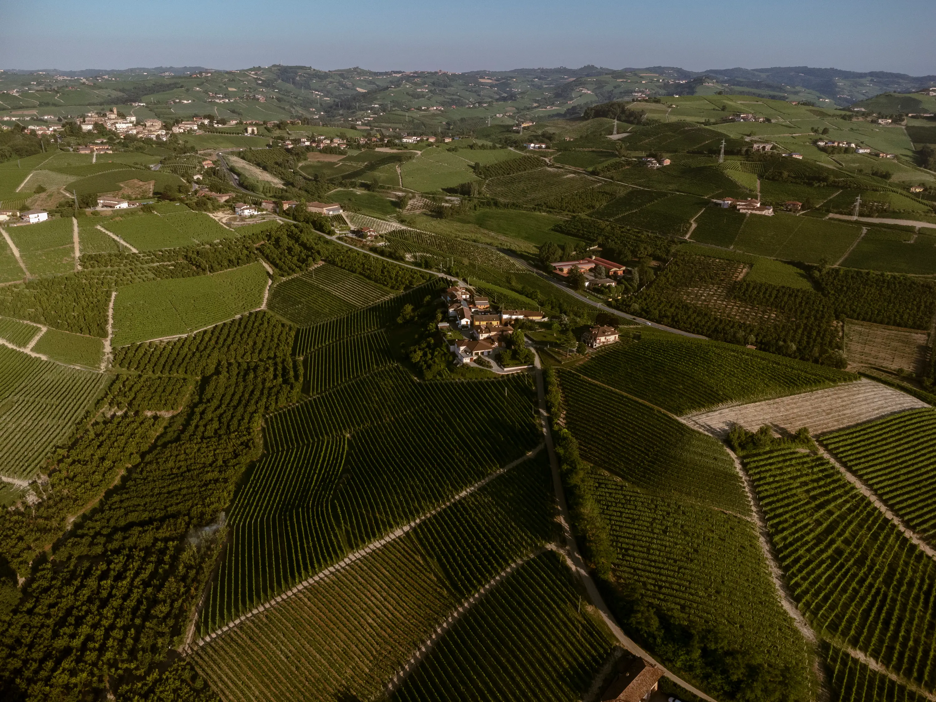 Vinprovning "Nebbiolo-nyanser" foto 4
