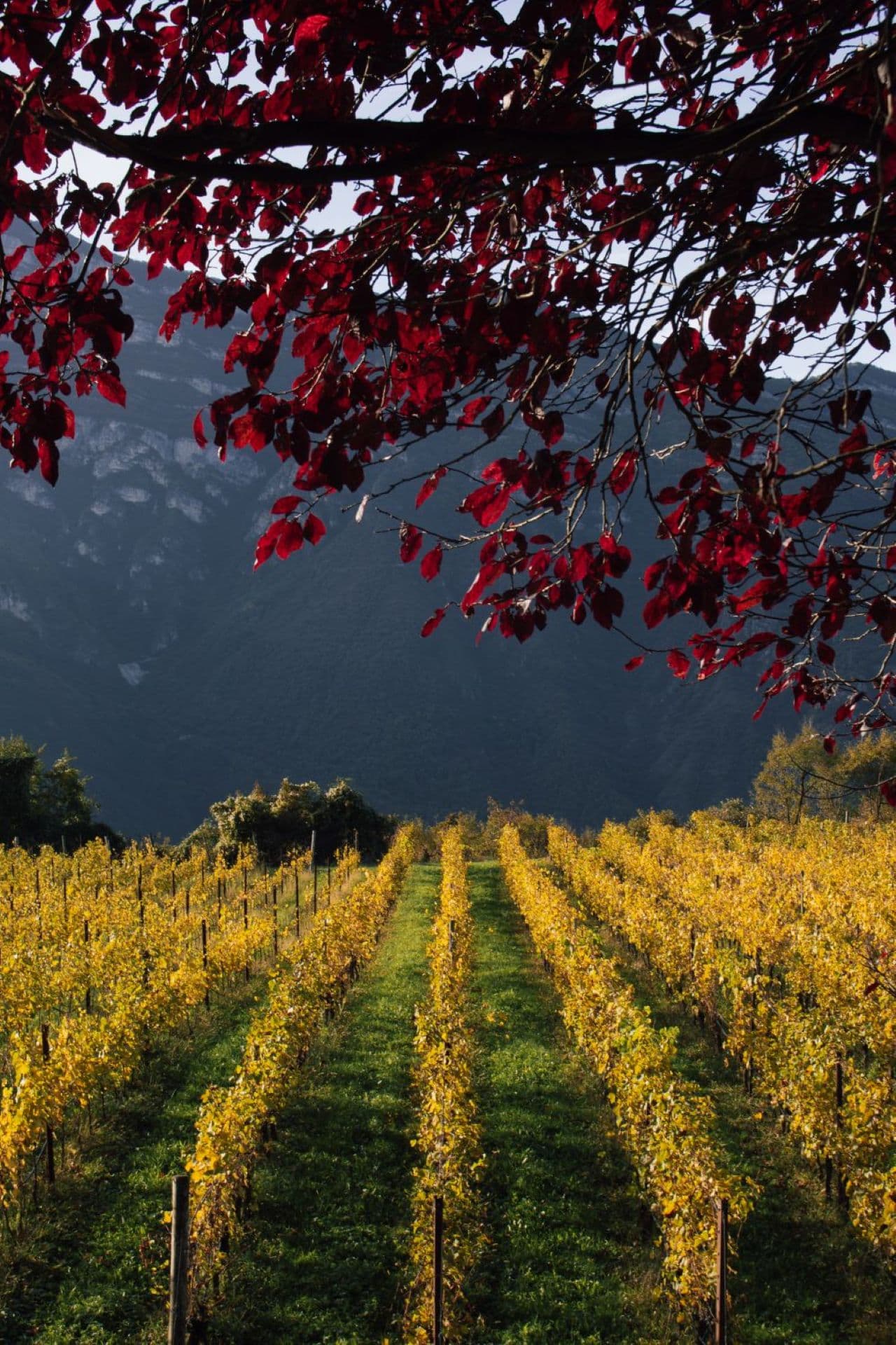 Destaque de Borgo Dei Posseri: A Hidden Gem in Trentino-Alto Adige