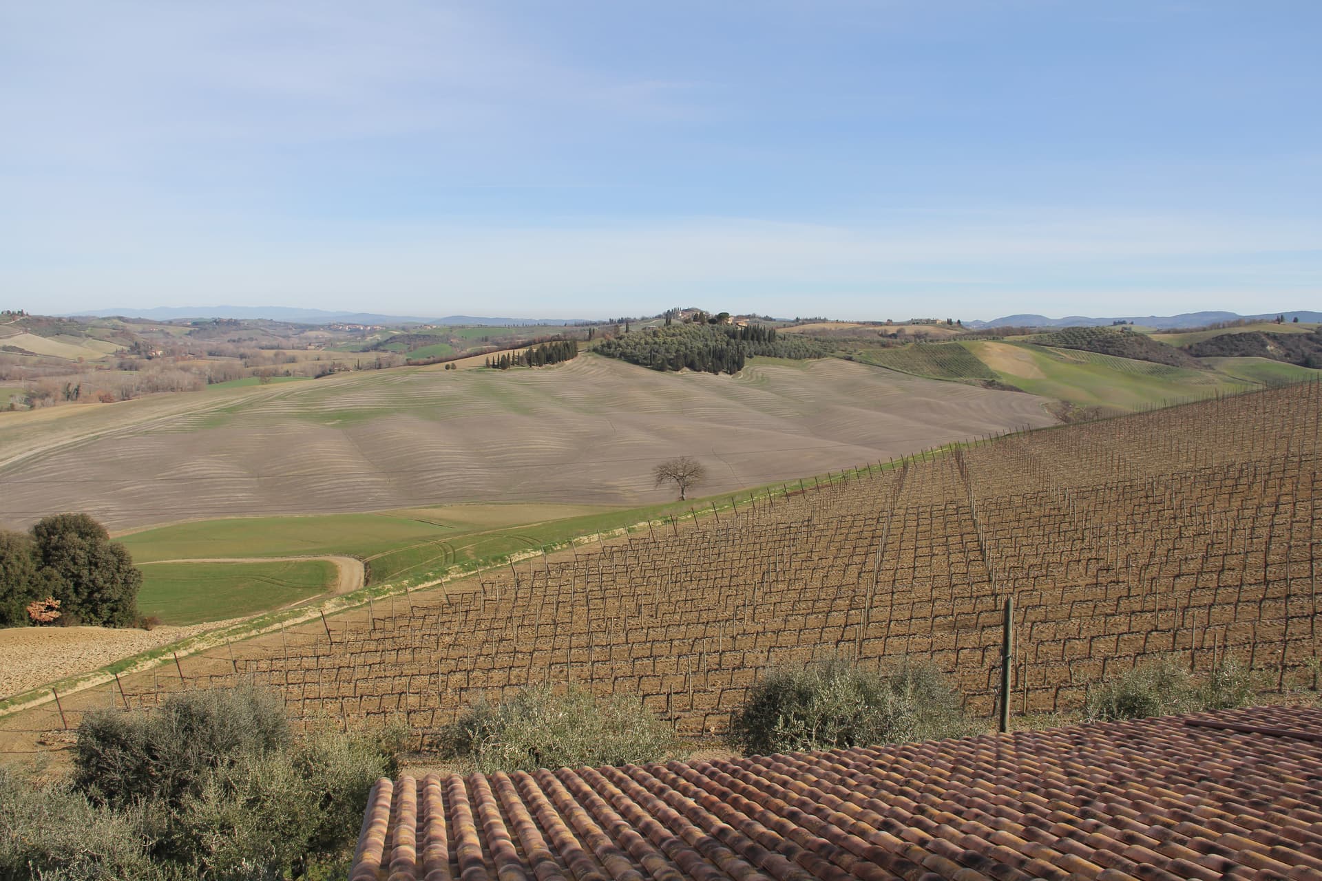 DEGUSTAÇÃO DE BRUNELLO E VISITA GUIADA foto 5