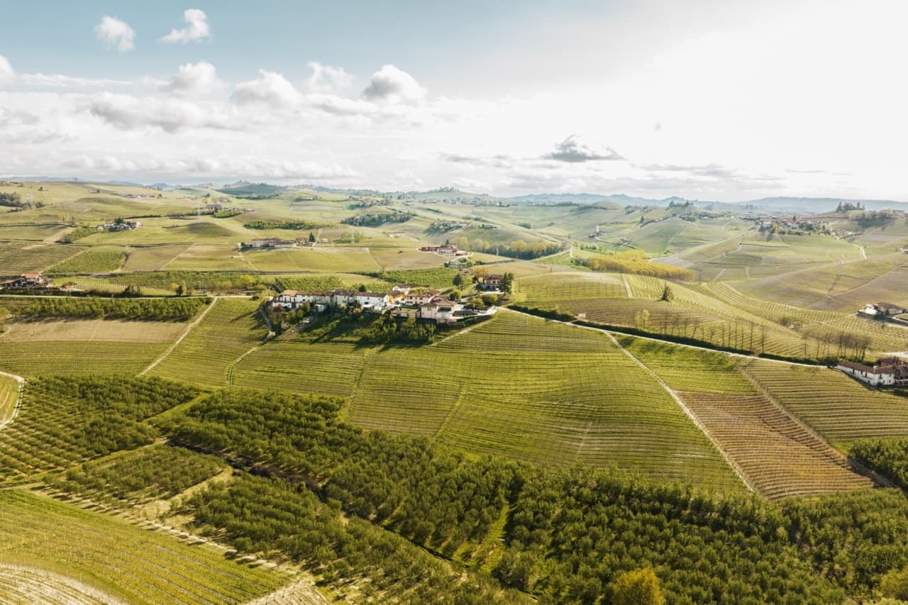 Degustação de vinhos "Pulin" foto 2