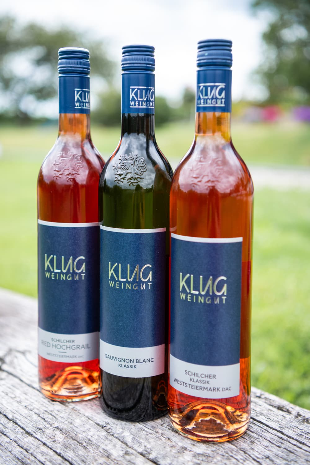 Weingut  klug photo 3