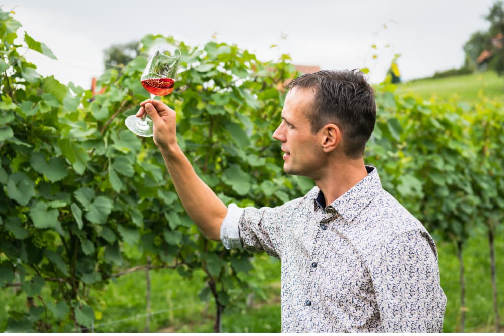 Weingut  klug highlight