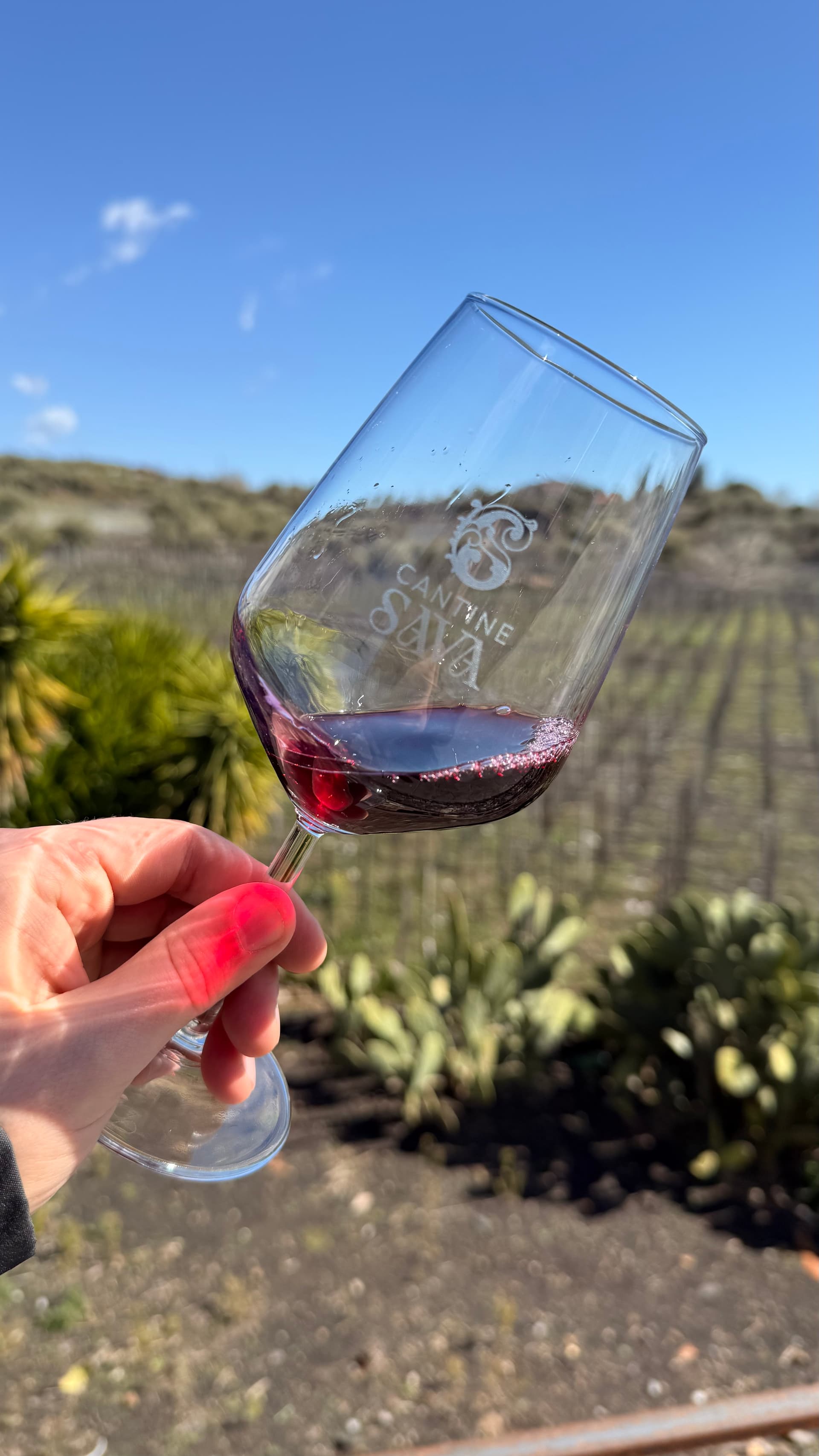 Esperienza presso la cantina Etna: Palmone storico, grotta…