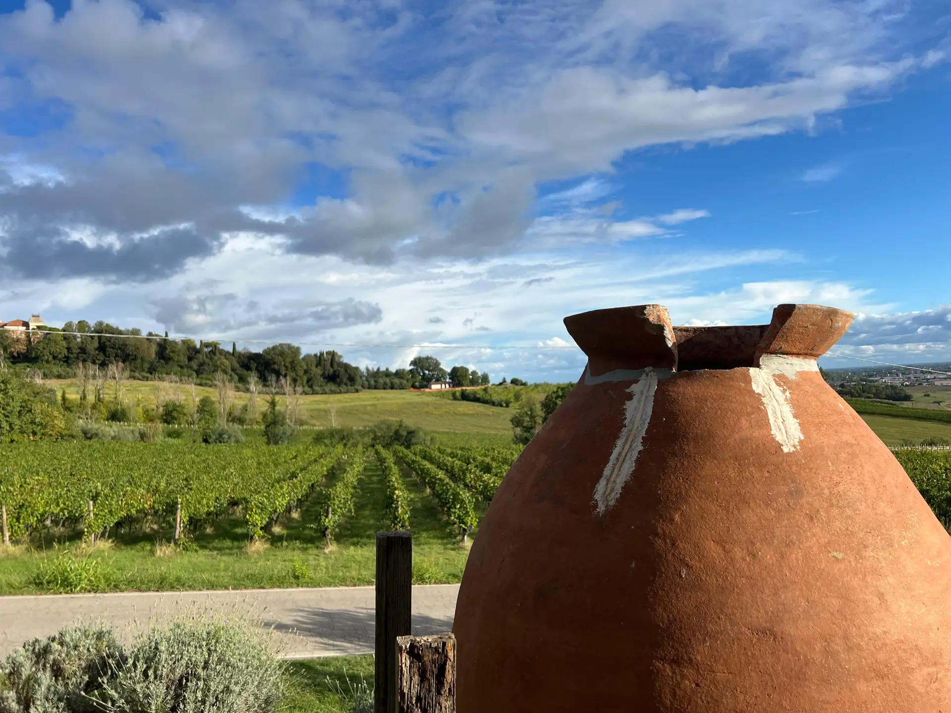 Tenuta La Viola foto 5