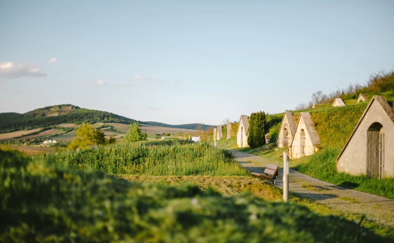 Vinprovning med Tokaji Aszú i en vinkällare som finns med på… foto 5