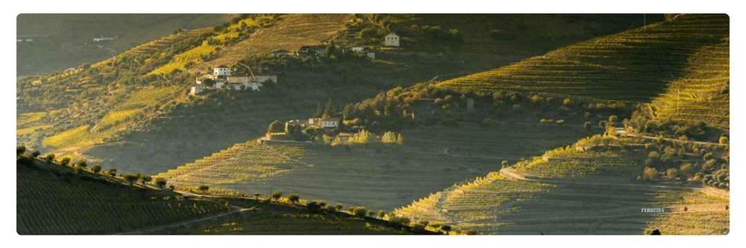Douro (1)