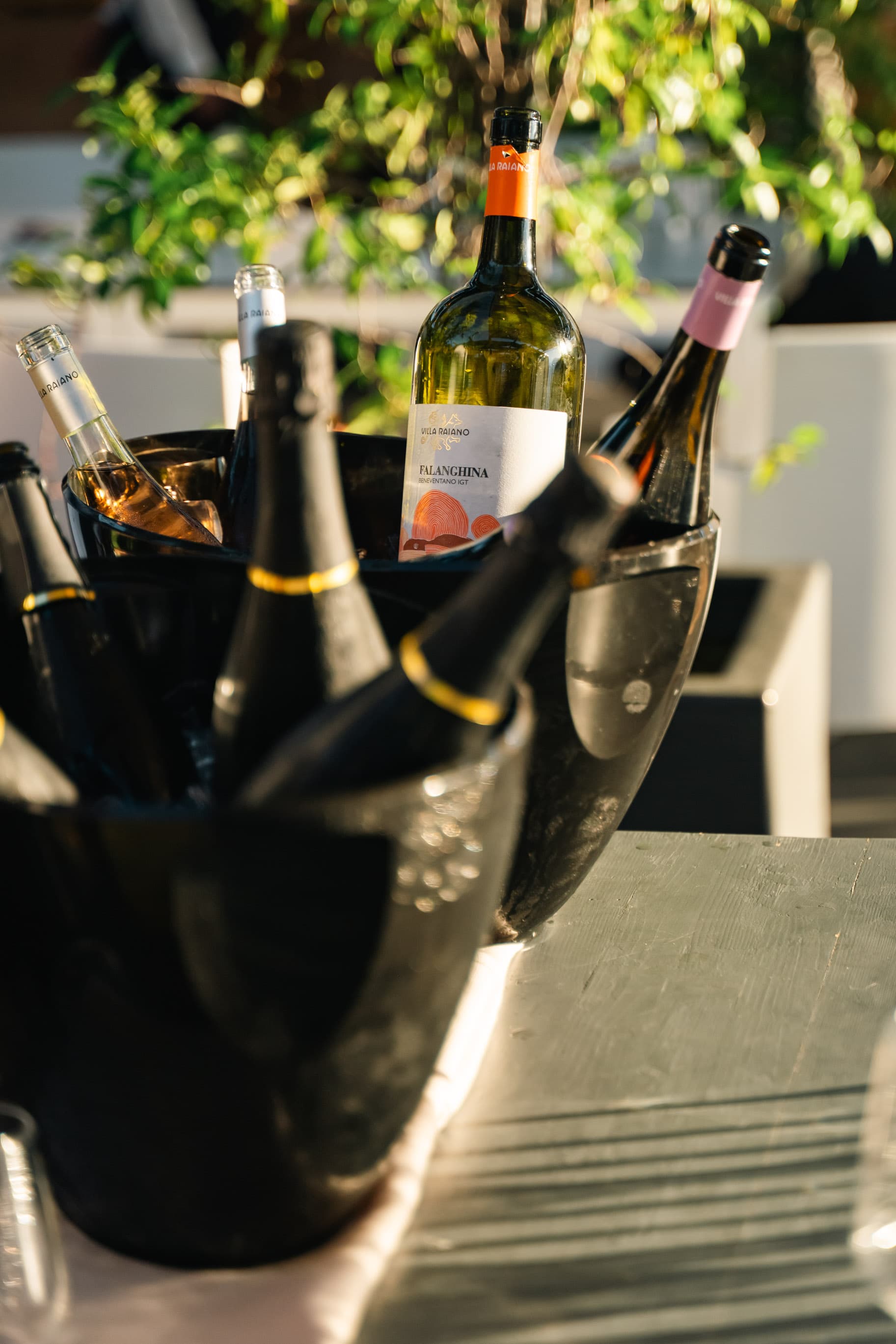 Villa Raiano Winery photo 5
