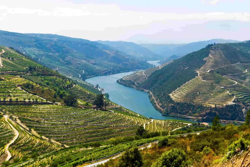 Gozo región vinícola