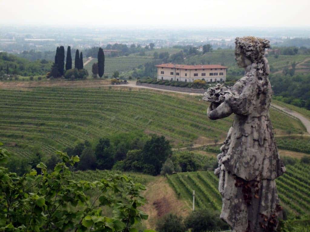 Landschaft einer Weinregion