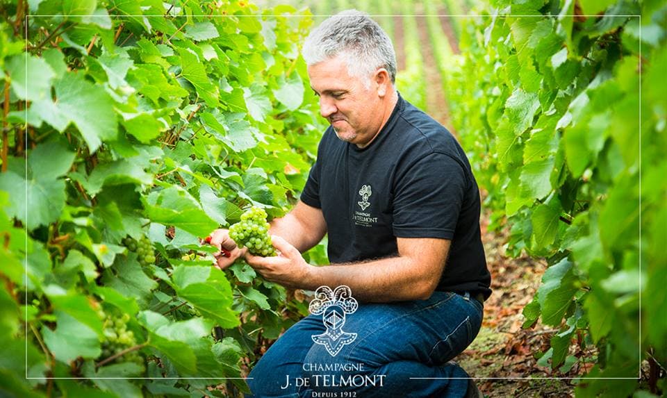 Champagne J. de Telmont photo 1