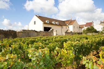 Domaine Yves Boyer Martenot foto 2
