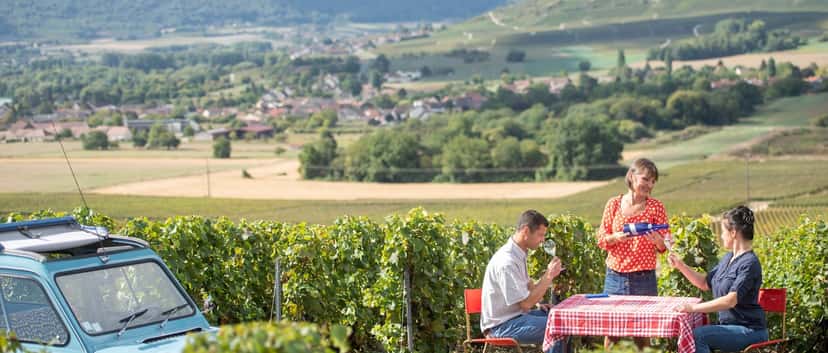 Champagne Météyer: Art, History & Tasting MasterClass
